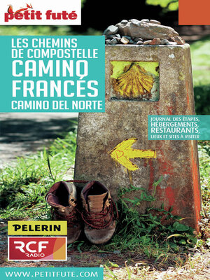 cover image of CHEMINS COMPOSTELLE--CAMINO FRANCES 2016 Petit Futé